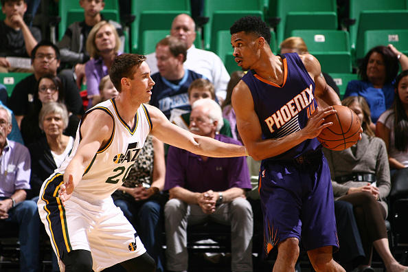 三角草埋伏 三角草埋伏